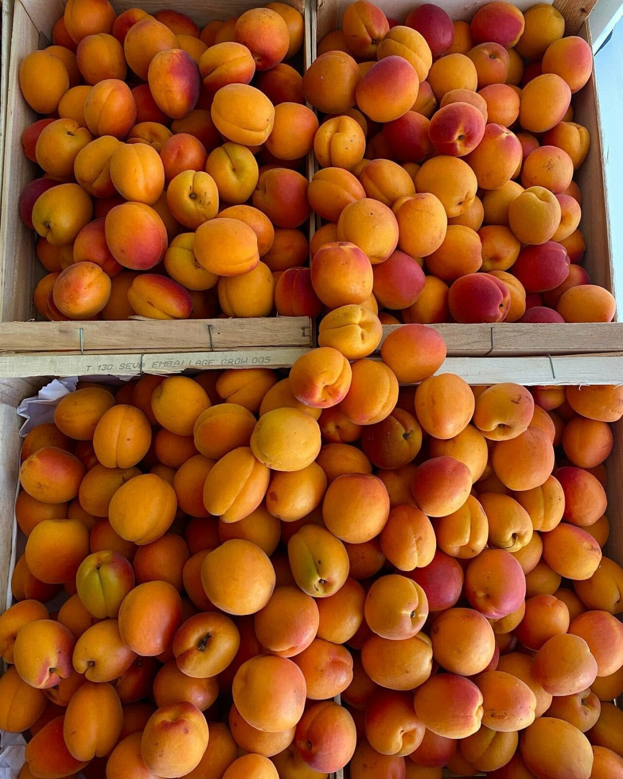 primeur Mimizan